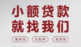 东莞快速小额短借-东莞快速短借私借空放-东莞快速抵押身份证贷款