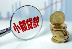 东莞快速哪里可以小额贷款-东莞快速哪里有民间借贷-东莞快速民间短期私借借款