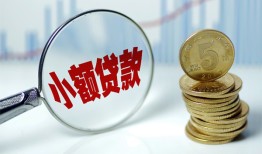 东莞快速哪里可以小额贷款-东莞快速哪里有民间借贷-东莞快速民间短期私借借款